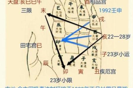 探究九四年十月三号的命格奥秘
