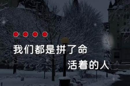 拼了命要爱的女孩：一曲动人的心声