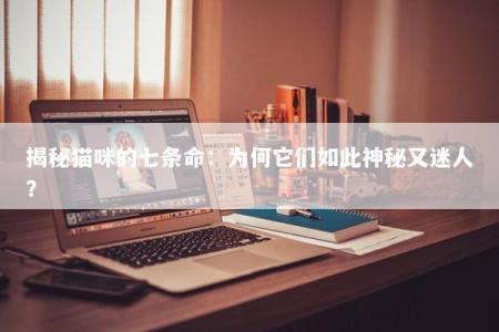揭秘猫咪的七条命：为何它们如此神秘又迷人？