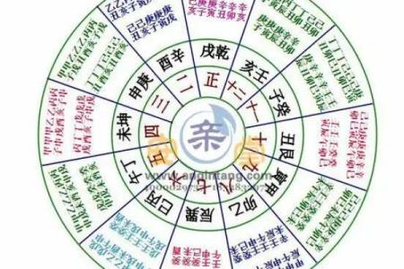 路旁土属马与最佳命格的完美配搭探索