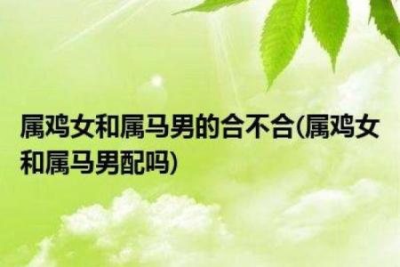 揭示属鸡女性命理：智慧与魅力的完美结合