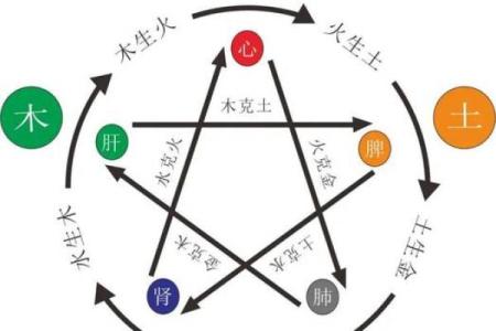 六神五行命理解析：了解你与自然的连接