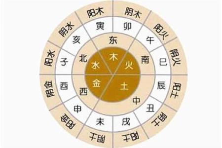 揭秘“薇”字背后的五行命理与性格特征