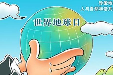 林下之猪：自然与生态的和谐共生之道