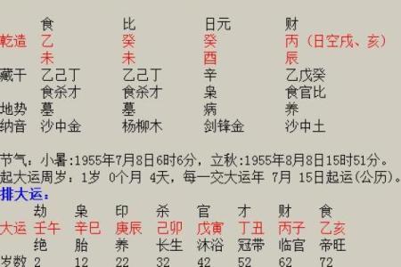 农历六月初十出生命女的命运解析与生活指南