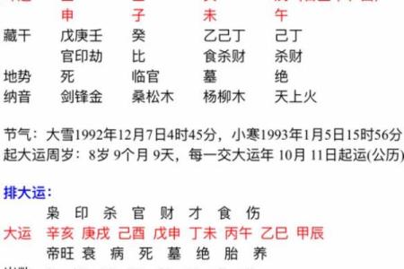 命格辰垣的深意解析：探索命理与人生运势的奥秘