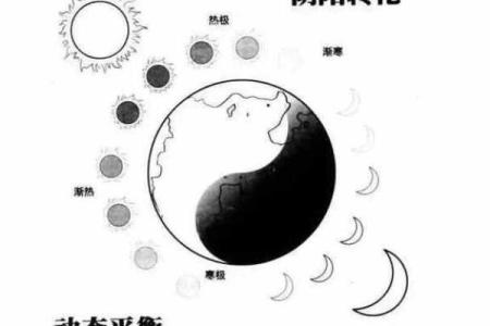 命格阴中有阳：探寻人生的和谐与平衡之道