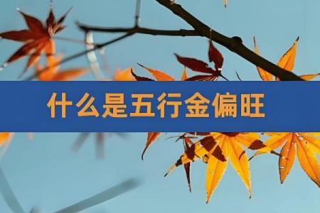 龙男金命与哪些命相配最佳？探寻命理学中的理想组合
