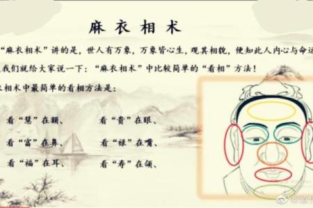 女人相貌与聪明命运的辩证关系探讨