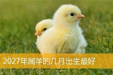 命不强的男人与属羊的魅力探讨