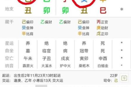男命时柱为食神，探秘其深刻寓意与人生意义