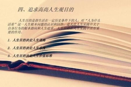 女木命最佳配对详解：寻觅幸福人生的指引