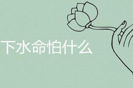 探究女涧下水命与其他命格的完美结合之道