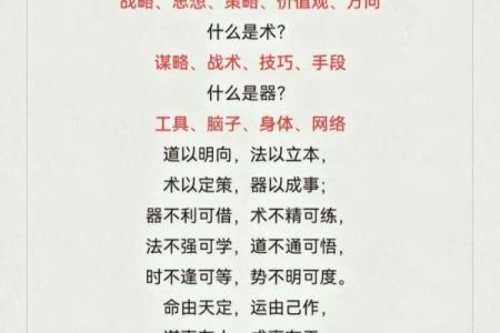 耐命不活：揭示生活的深层意义与价值观转变