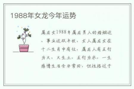 探索龙年的命理：揭秘属龙人的性格与命运