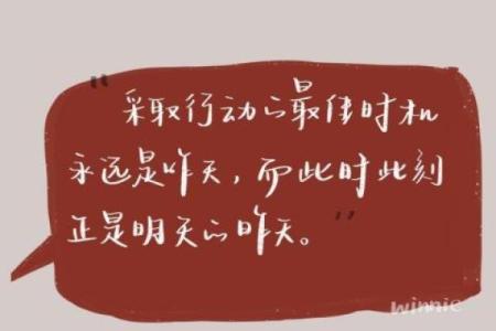 命局最佳特征：探寻命理中的成功之道和人格魅力