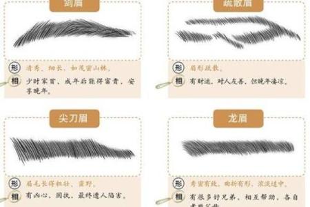 眉毛浓厚的男人命运解读 眉型与性格、运势的密切关系