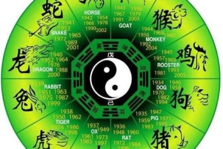 青龙的神秘象征与文化探讨——探索命局中青龙动物的深意