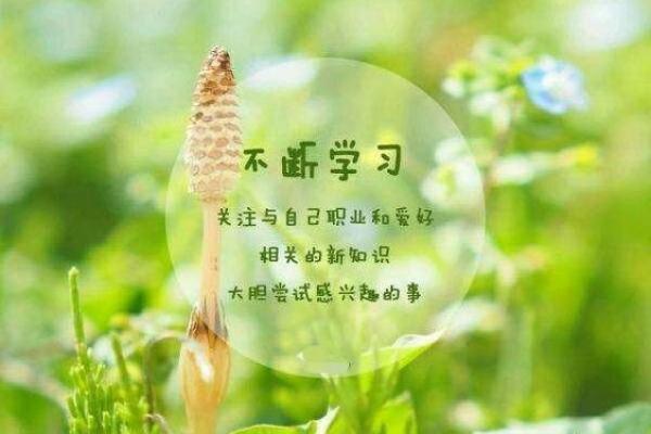 炉中火命人的职业与人生优势探索 炉中火命人的职业与人生优势探索