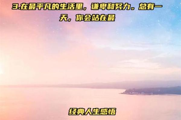 命不从天,奋斗出精彩人生的真谛 命不从天,奋斗出精彩人生的真谛