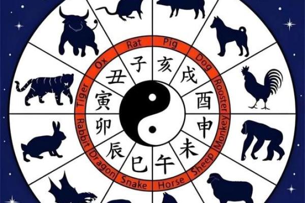 年属鸡的是什么命:解析1981年、1993年、2005年鸡命人的命理特点与性格 年属鸡的是什么命:解析1981年、1993年、2005年鸡命人的命理特点与性格
