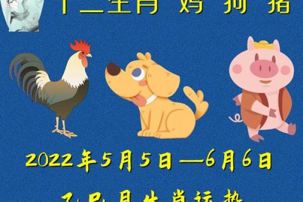 年属鸡的是什么命:解析1981年、1993年、2005年鸡命人的命理特点与性格 年属鸡的是什么命:解析1981年、1993年、2005年鸡命人的命理特点与性格