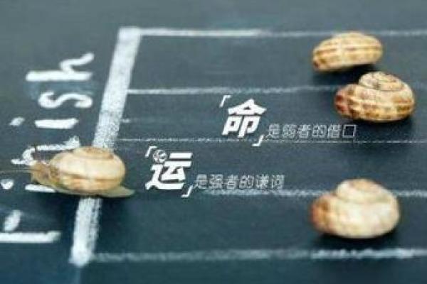 了解命理:如何解读4.6两的命与其生活特点 了解命理:如何解读4.6两的命与其生活特点