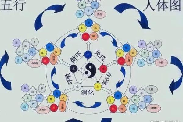 男土命与其他命理的完美搭配分析 男土命与其他命理的完美搭配分析