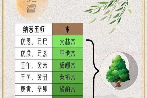 98年出生的你,究竟是何五行命?解析命理与人生! 98年出生的你,究竟是何五行命?解析命理与人生!