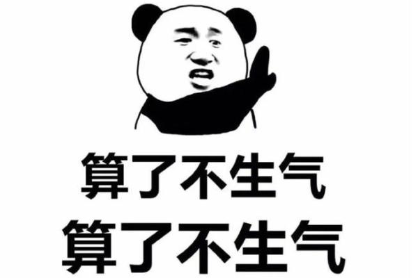 命里有生气,揭示个人命运与情绪的深层联系 命里有生气,揭示个人命运与情绪的深层联系