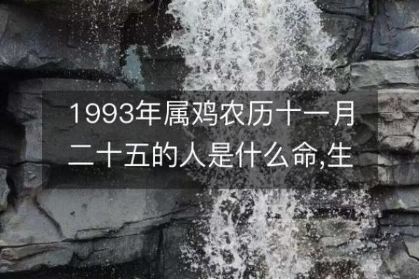 六九年出生属鸡,五行命理解析与人生启示 六九年出生属鸡,五行命理解析与人生启示