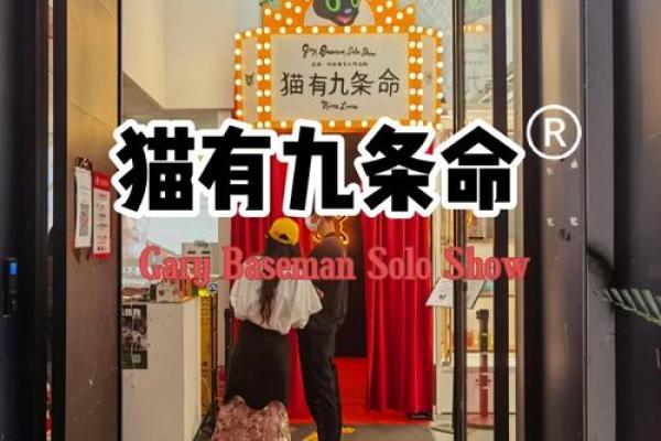猫有九条命与生肖的神秘联系 猫有九条命与生肖的神秘联系
