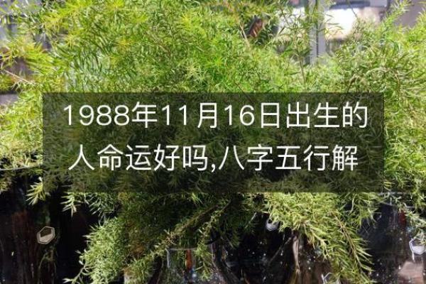农历十月初八出生的人命理解析:缺什么该如何补救? 农历十月初八出生的人命理解析:缺什么该如何补救?