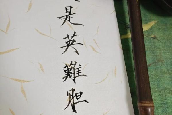 命格修正:探寻个体命运与自我提升的智慧之路 命格修正:探寻个体命运与自我提升的智慧之路