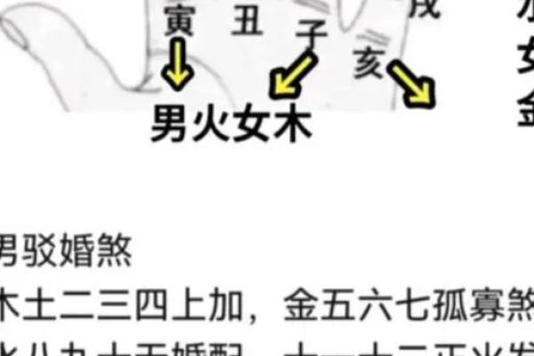 木命与金命:如何选择生宝宝的最佳方式? 木命与金命:如何选择生宝宝的最佳方式?