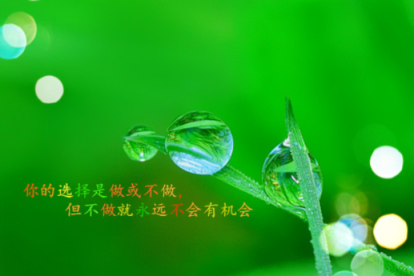 命卦之说:南方命运的深刻解析与人生智慧 命卦之说:南方命运的深刻解析与人生智慧