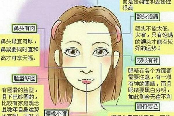 面相与性格分析:暴躁与温和命格的深层次联系 面相与性格分析:暴躁与温和命格的深层次联系