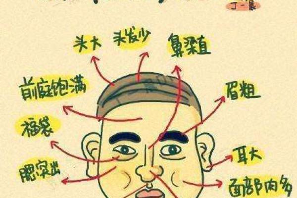 面相与性格分析:暴躁与温和命格的深层次联系 面相与性格分析:暴躁与温和命格的深层次联系