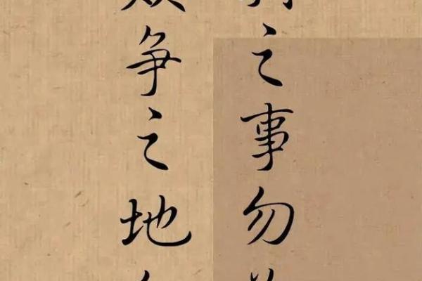 命不能改命,探寻人生中的生肖密码与宿命真谛 命不能改命,探寻人生中的生肖密码与宿命真谛