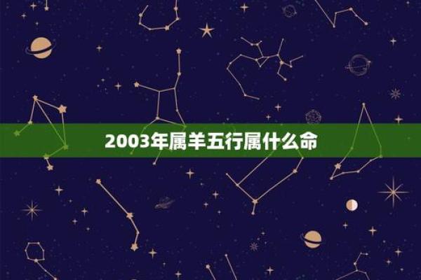破解命理之谜:九一年属羊五行命理大揭秘! 破解命理之谜:九一年属羊五行命理大揭秘!