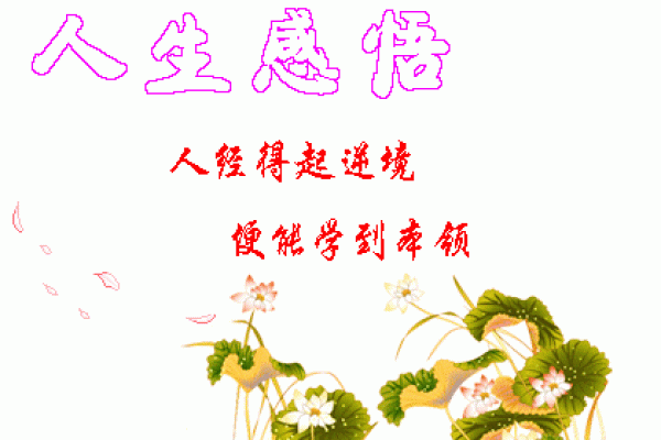巽卦女命的魅力:迎风而行的智慧与力量 巽卦女命的魅力:迎风而行的智慧与力量