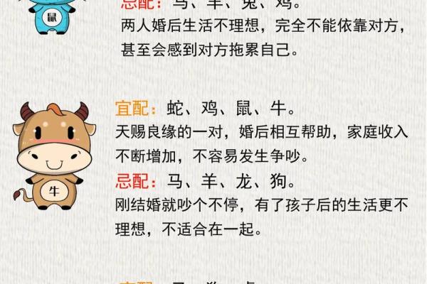 2024年五月出生的虎宝宝命运解析:运势、性格与家庭关系 2024年五月出生的虎宝宝命运解析:运势、性格与家庭关系