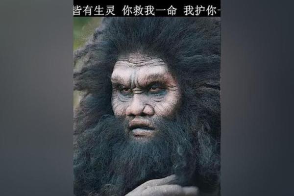 灵命二命:揭开人生的深层意义与旅程之谜 灵命二命:揭开人生的深层意义与旅程之谜