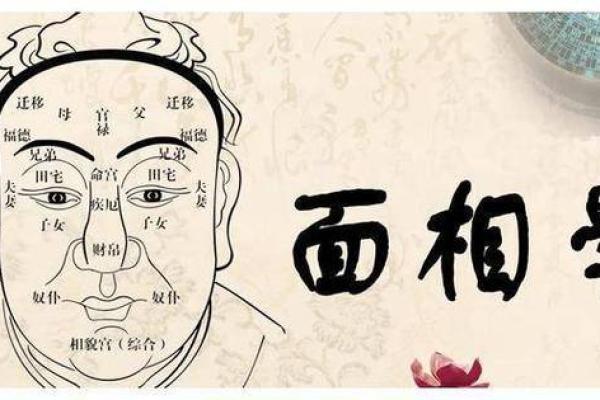 免费查命格,轻松知道你的生肖及命运奥秘! 免费查命格,轻松知道你的生肖及命运奥秘!