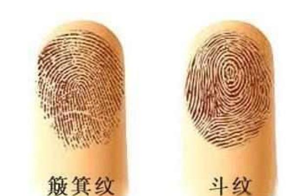 命运的双面:富贵命与劳碌命的细腻探讨 命运的双面:富贵命与劳碌命的细腻探讨
