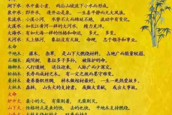 2024年1月五行命理解析:了解五行属相对人生的影响与启示 2024年1月五行命理解析:了解五行属相对人生的影响与启示