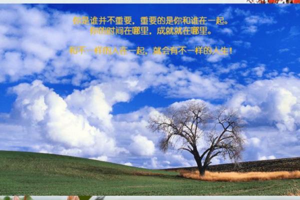 命主未入正官格的深层解析与人生启示 命主未入正官格的深层解析与人生启示
