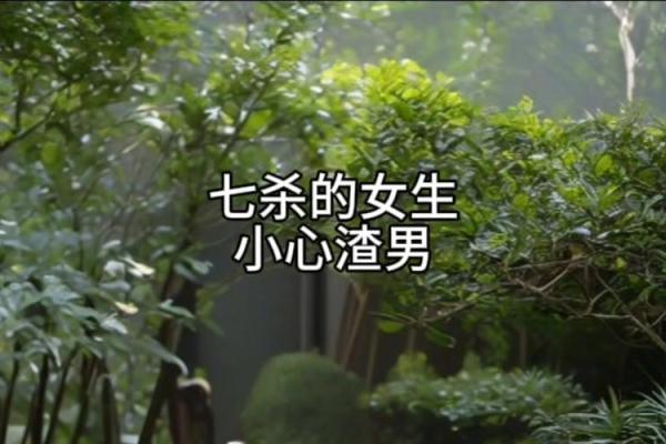 命格七杀:探秘命理中的争斗与突破之道 命格七杀:探秘命理中的争斗与突破之道