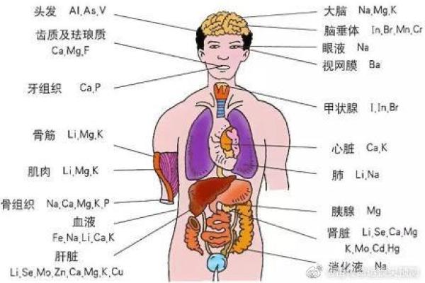 女人腰里有胎记的命运解析:神秘的命理与个人特质 女人腰里有胎记的命运解析:神秘的命理与个人特质