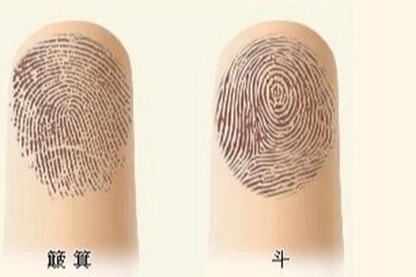 女生手上有九个斗,这是什么命运与特点? 女生手上有九个斗,这是什么命运与特点?